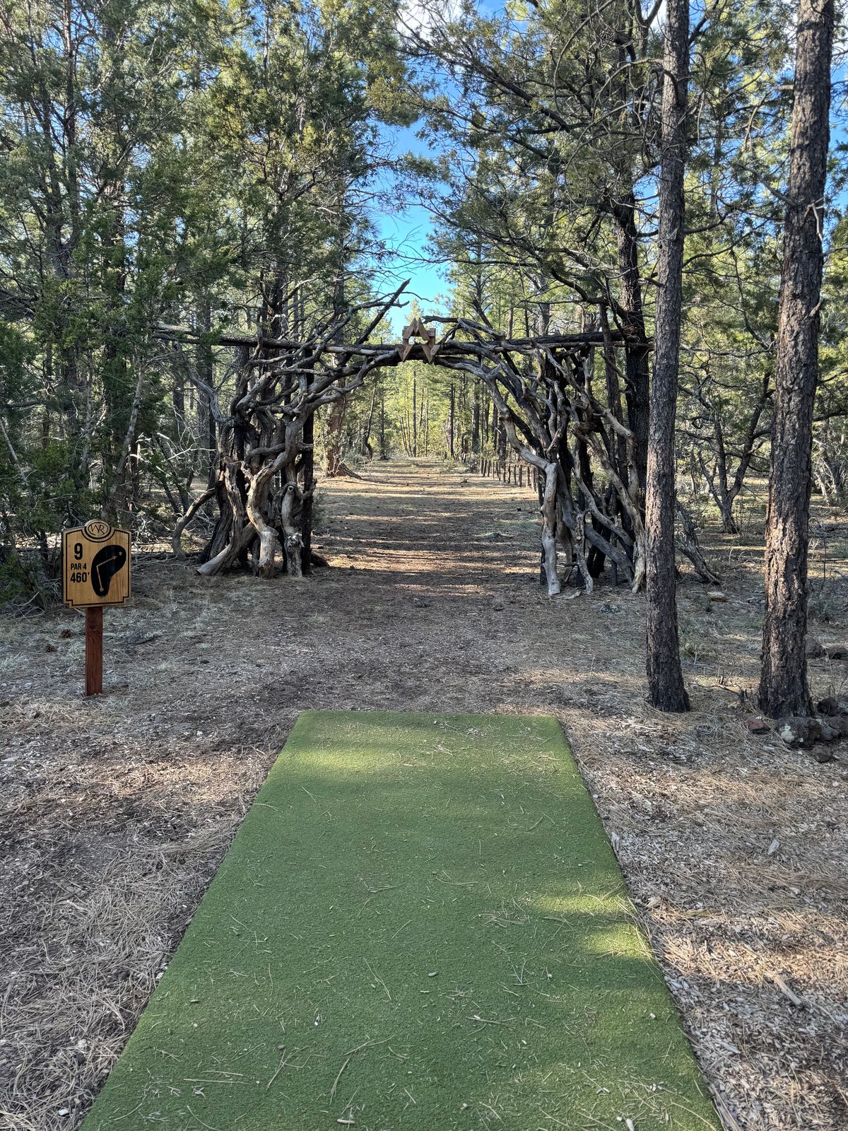Hole 9 Tee