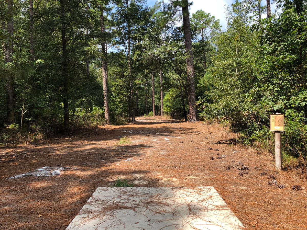 Hole 8 - Gold