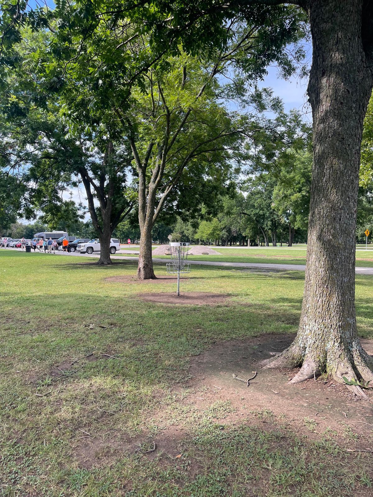 Hole 16 basket