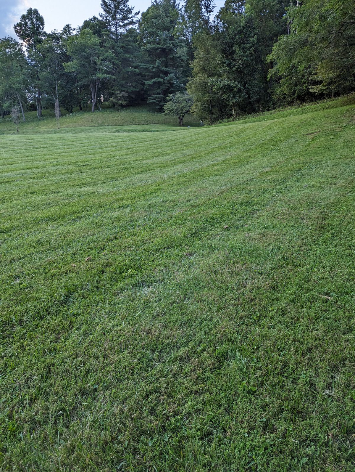 Hole 8's teepad, looking uphill towards the basket