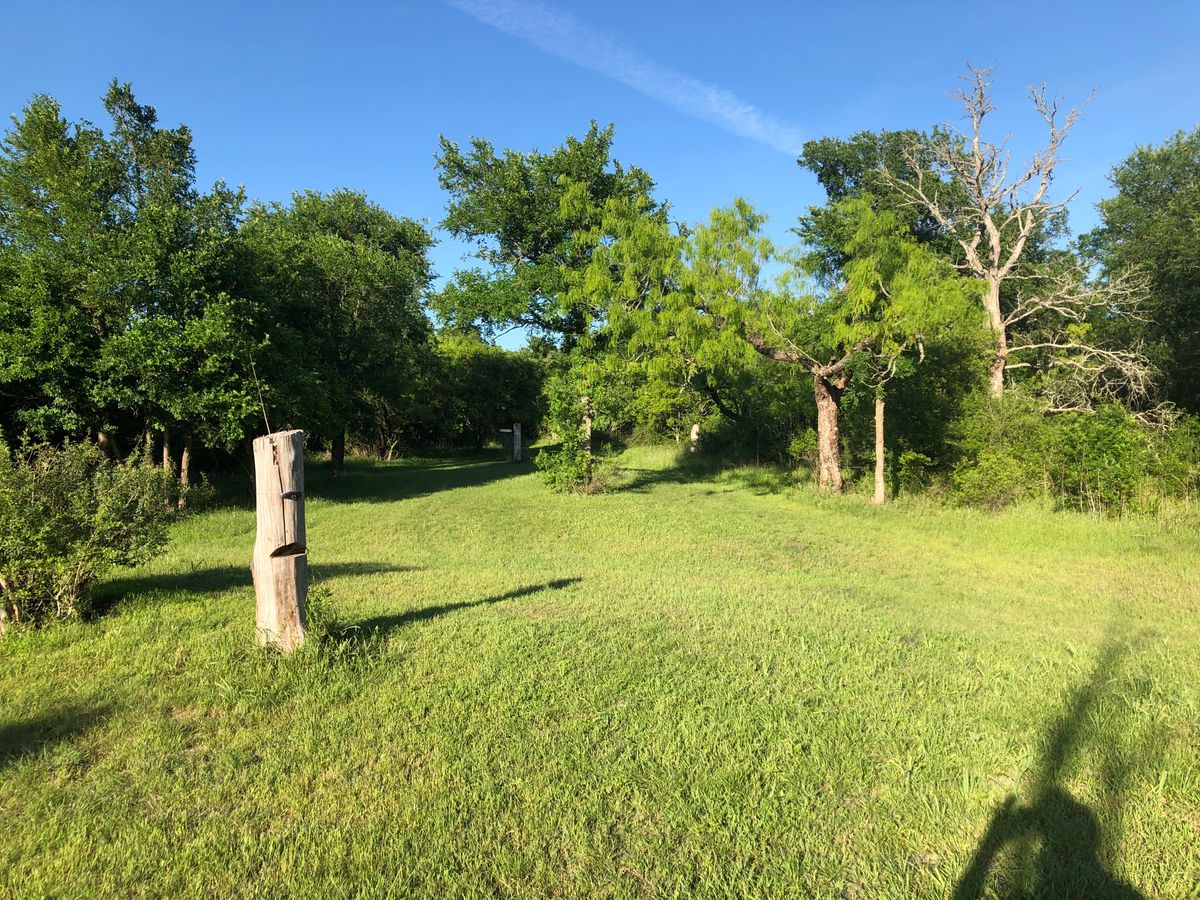 Hole 7 down the fairway looking at basket.