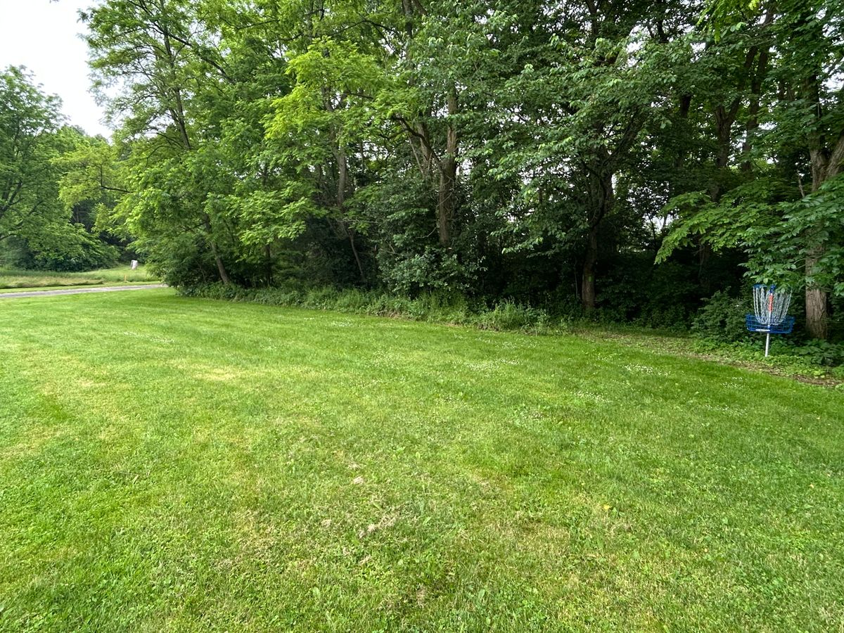 Hole 9 from the side.  Tee is in the left of the pic, basket is tucked in to the trees on the right.