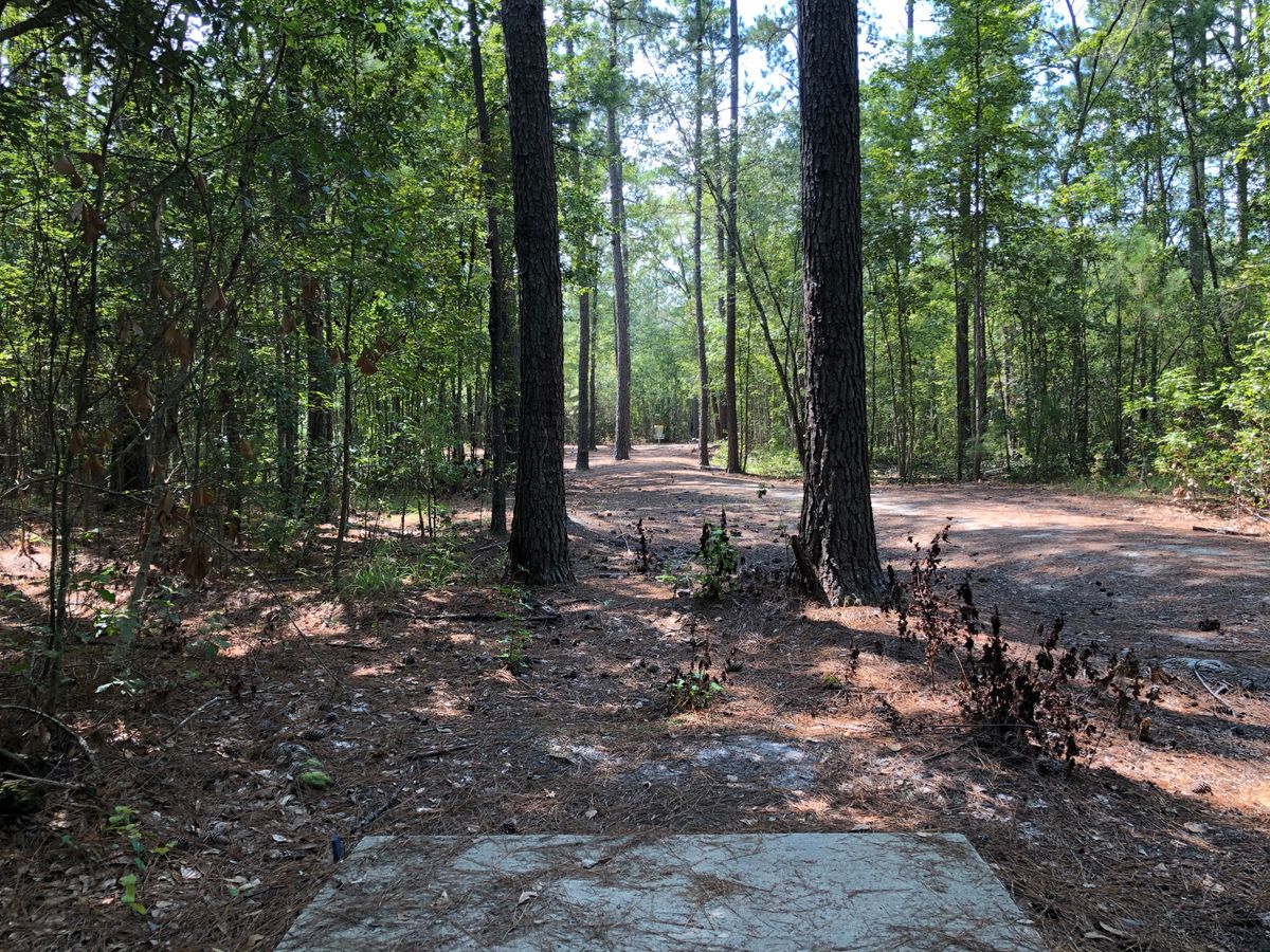 Hole 3 - Blue