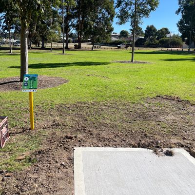 Hole 2 tee