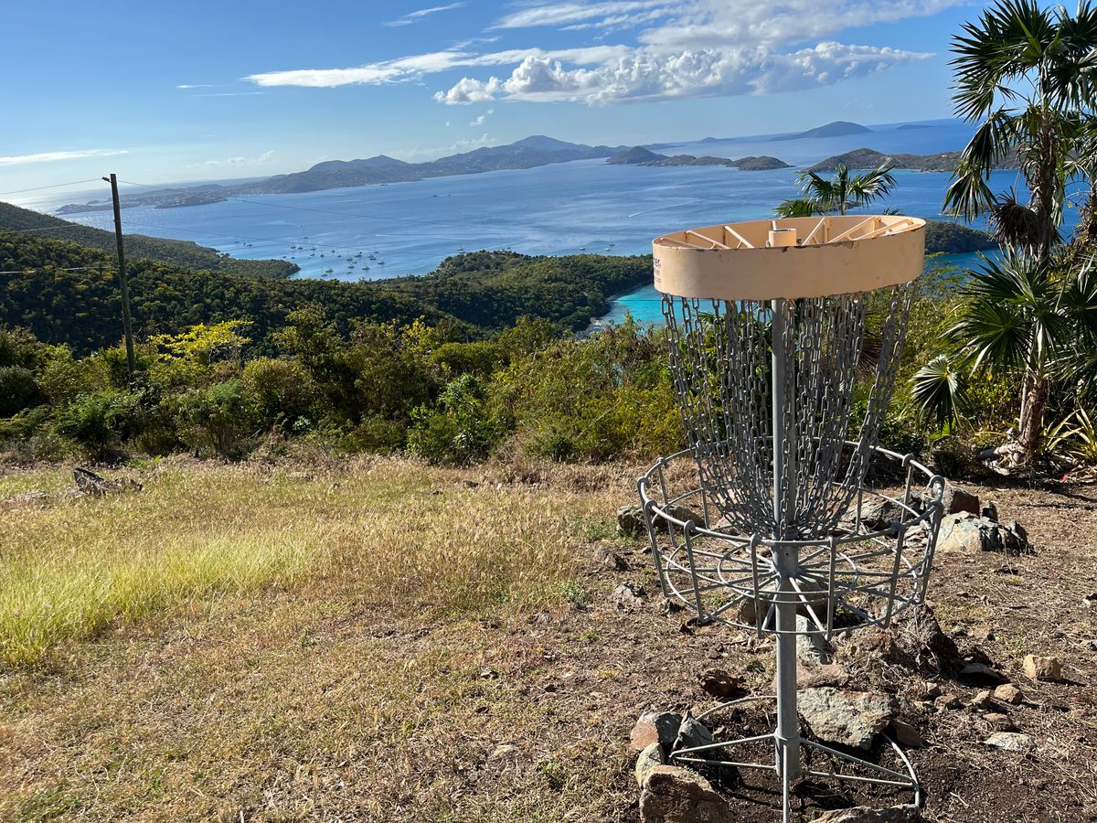 View from the 5th basket