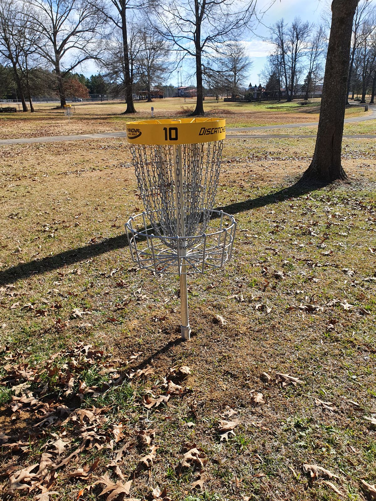 hole 10 basket