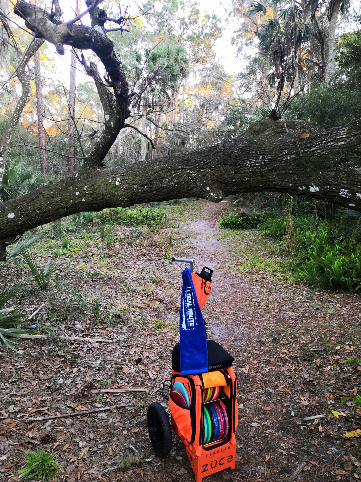 Hole 15 I think. Really cool view