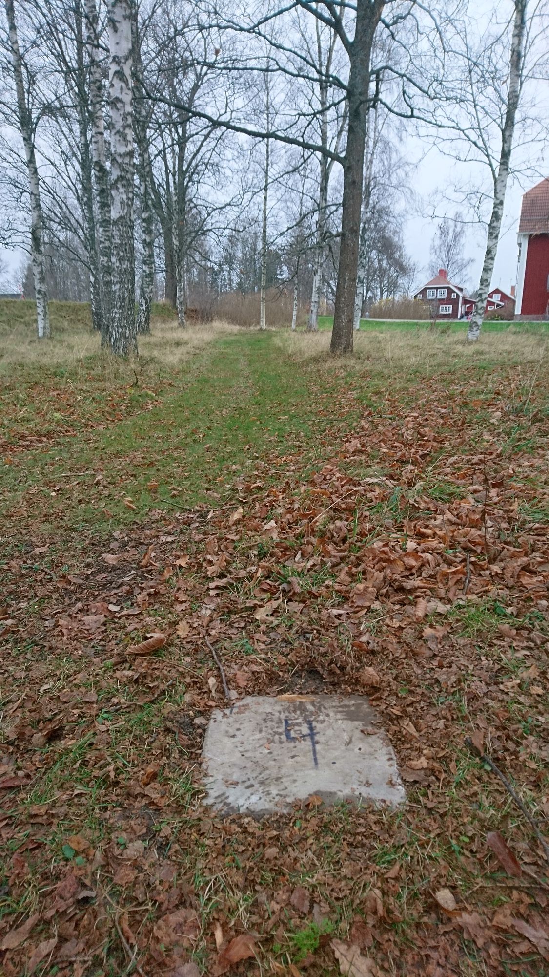 4an