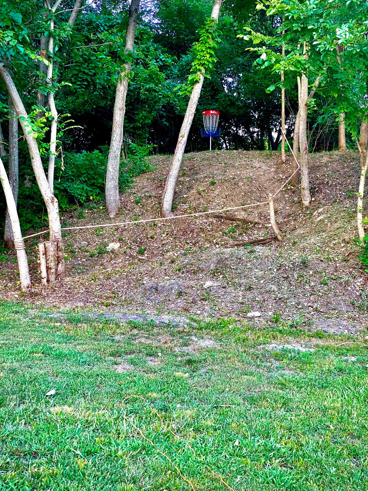 Berm hole #5 upshot to the basket
