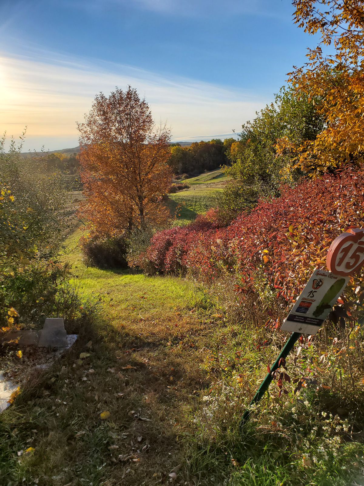 Hole 15