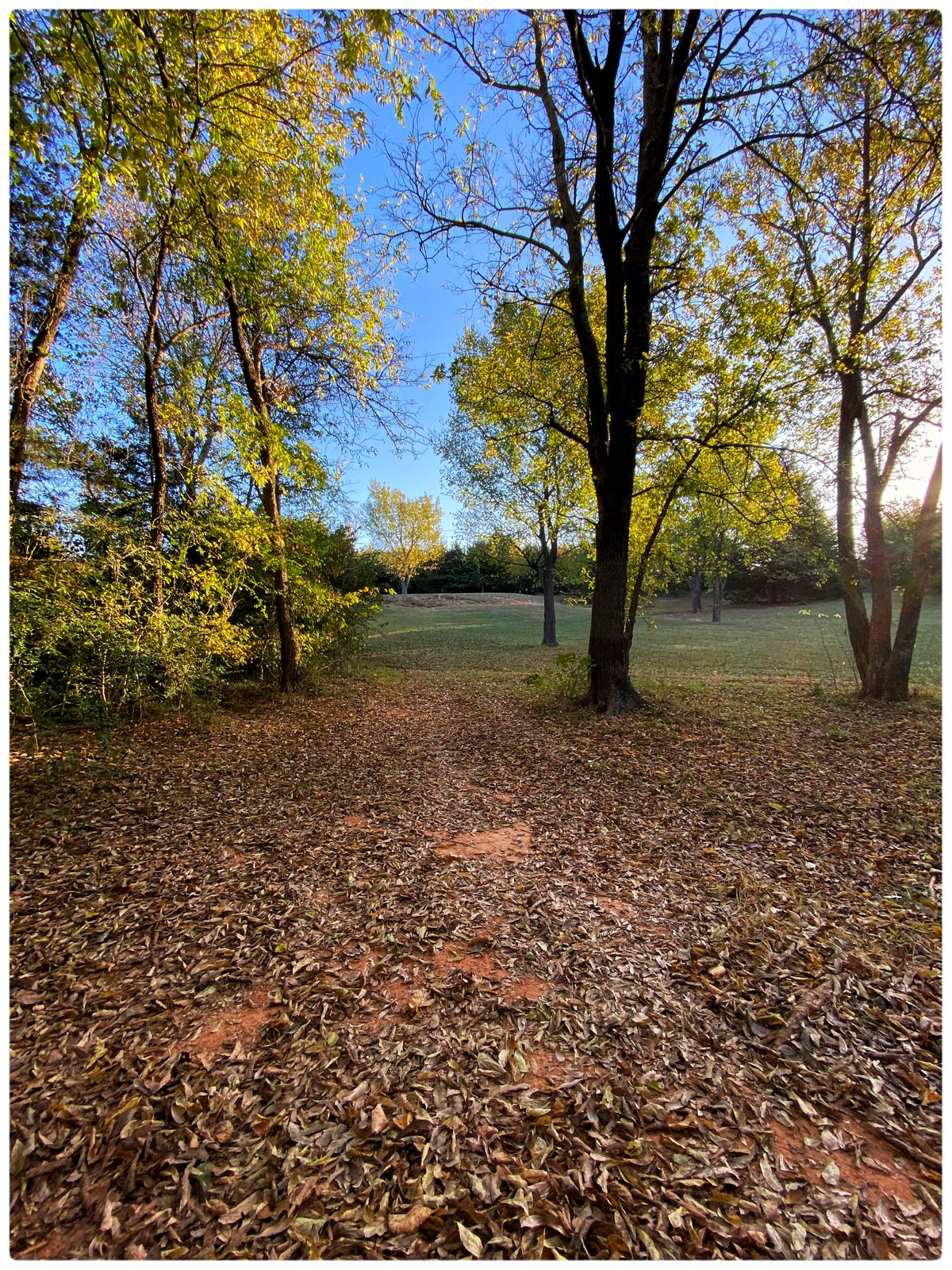 #5 Red Tee Throwing northeast