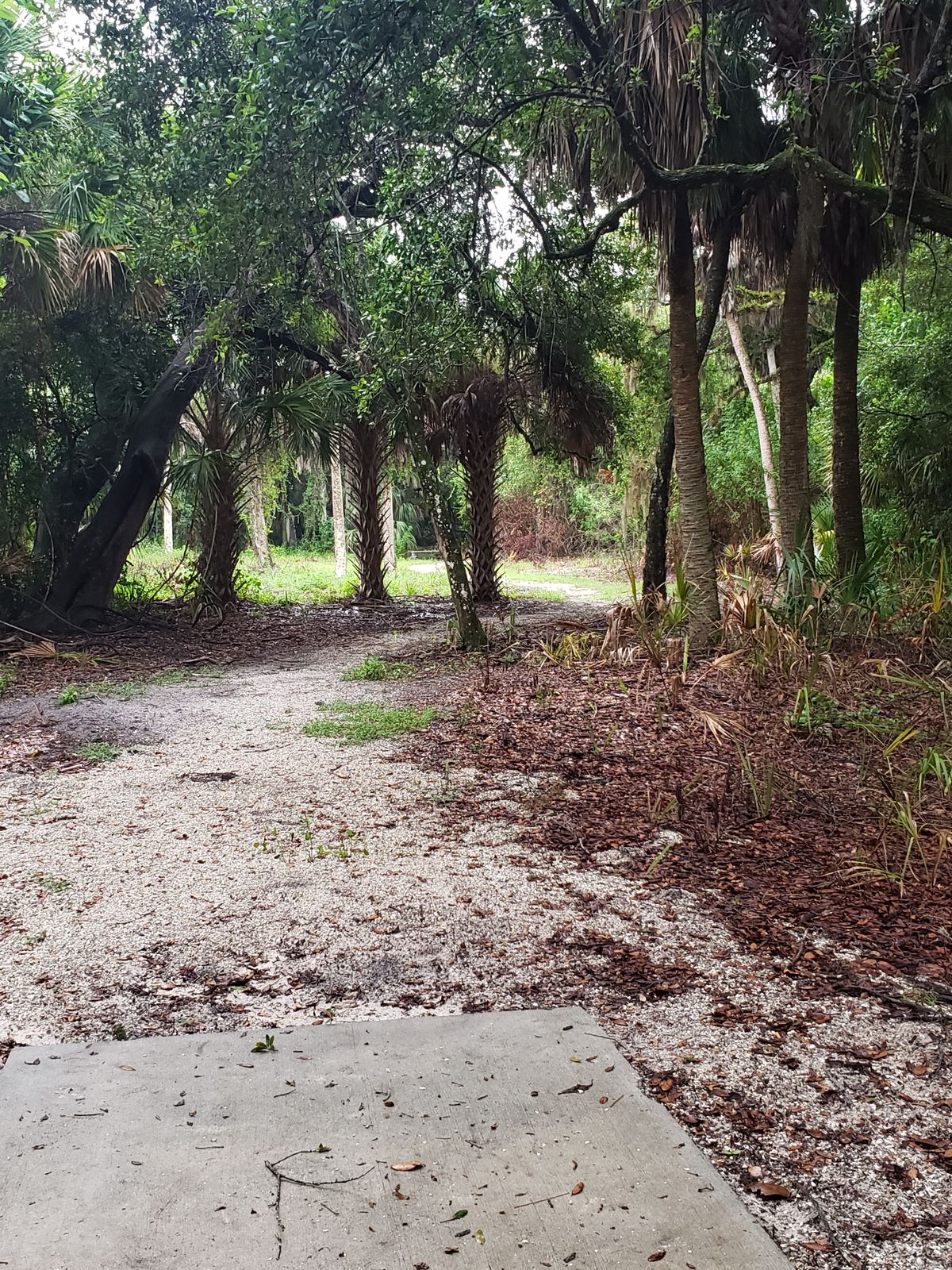 Hole 2 Tee Pad