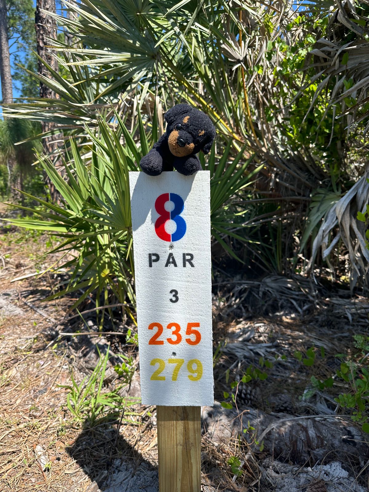 Hole 8 with a guardian.