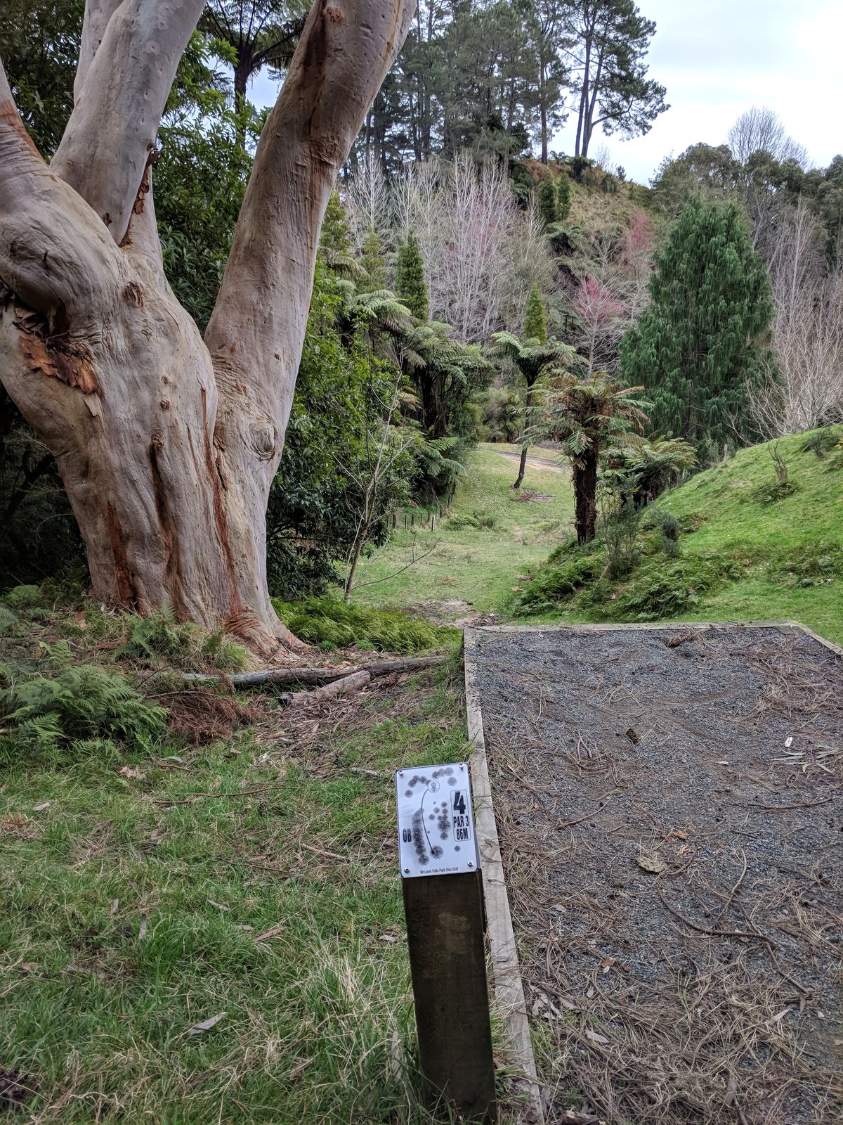 McLaren Falls Park while on vacation with the wife. For the views alone you must play here while in New Zealand.