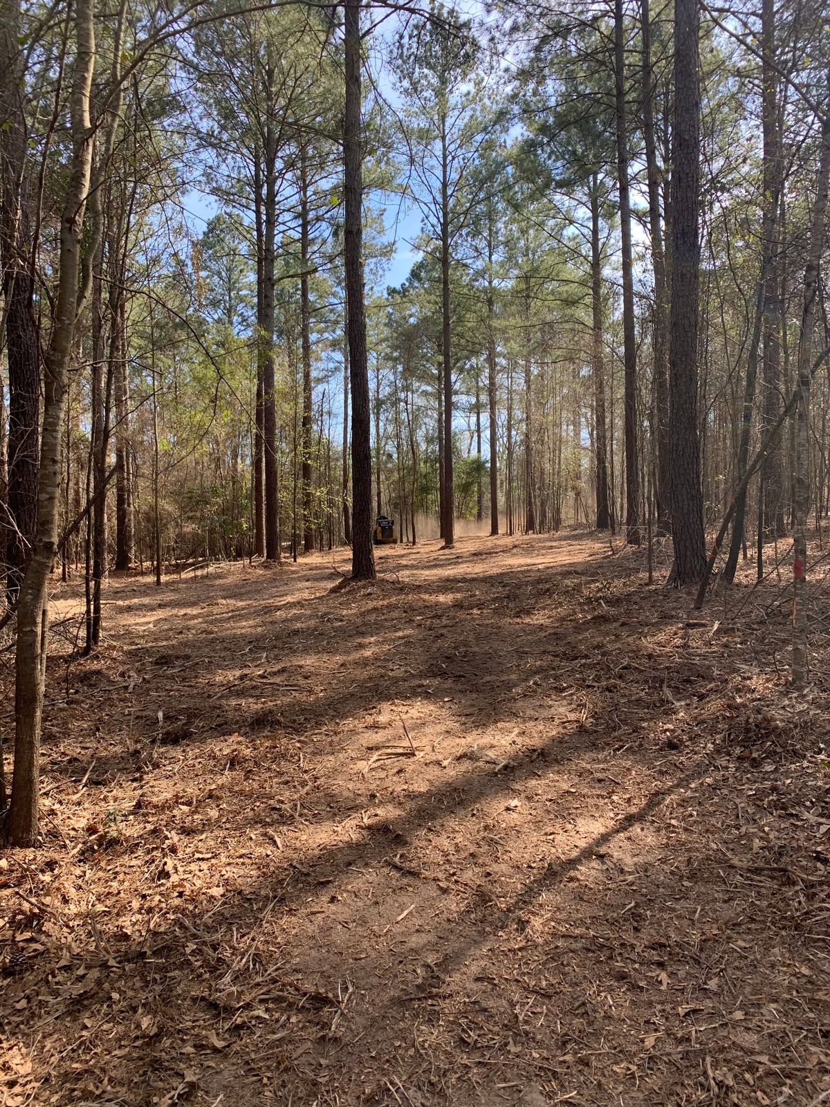 Fairway hole #9 Advanced course