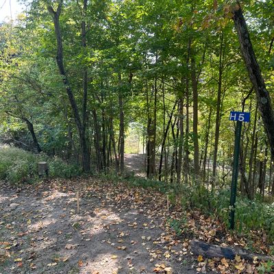 Hole 5 Tee