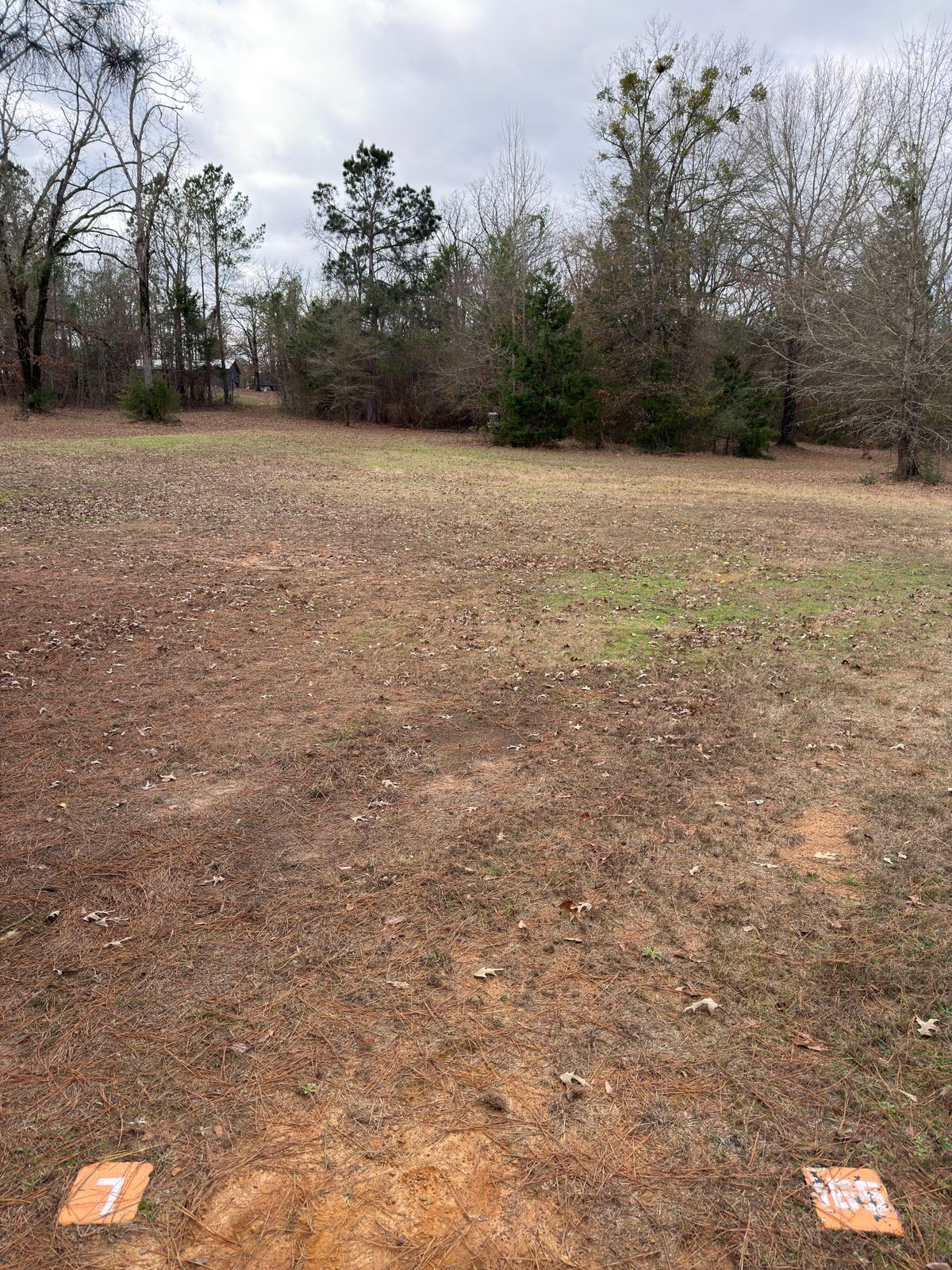 Hole 7, basket basket straight ahead behind a tree