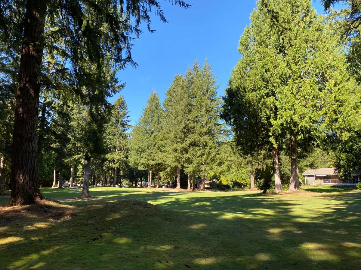 Hole 18 fairway.