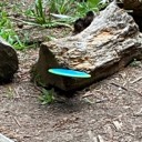 lostdisc21