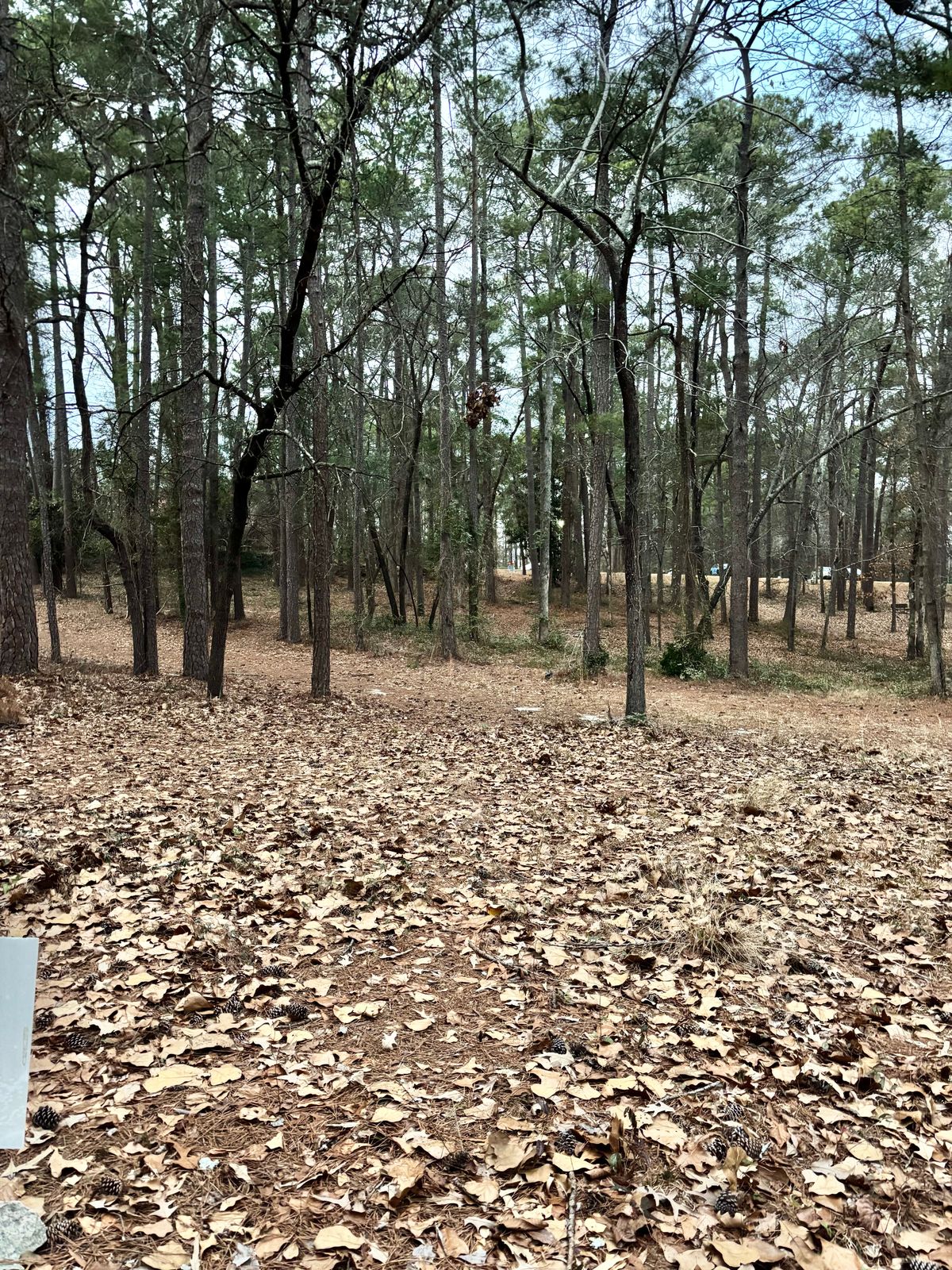 Hole 18 Short Tee