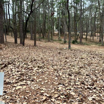 Hole 18 Short Tee