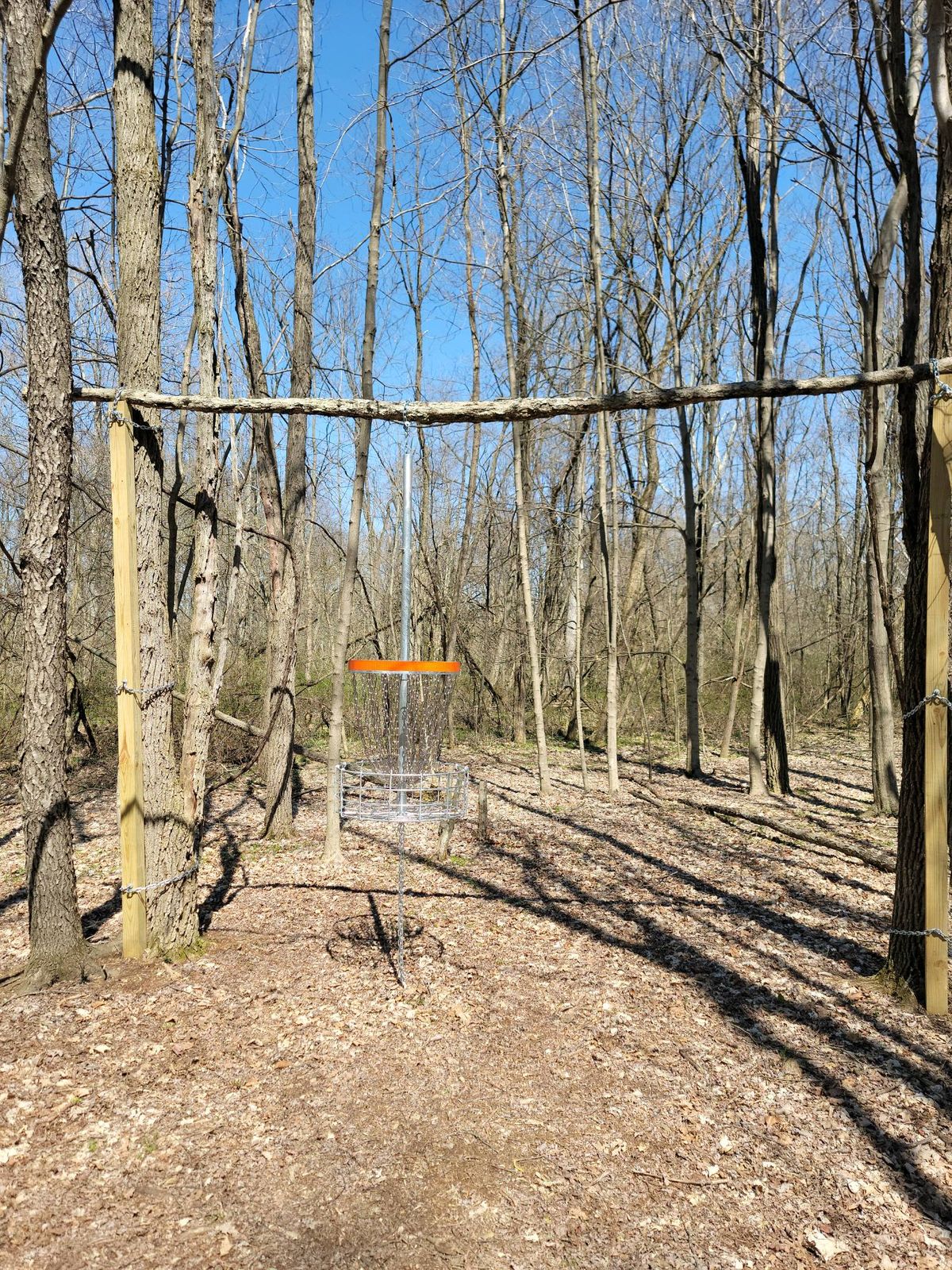 Hole #4
Hanging basket