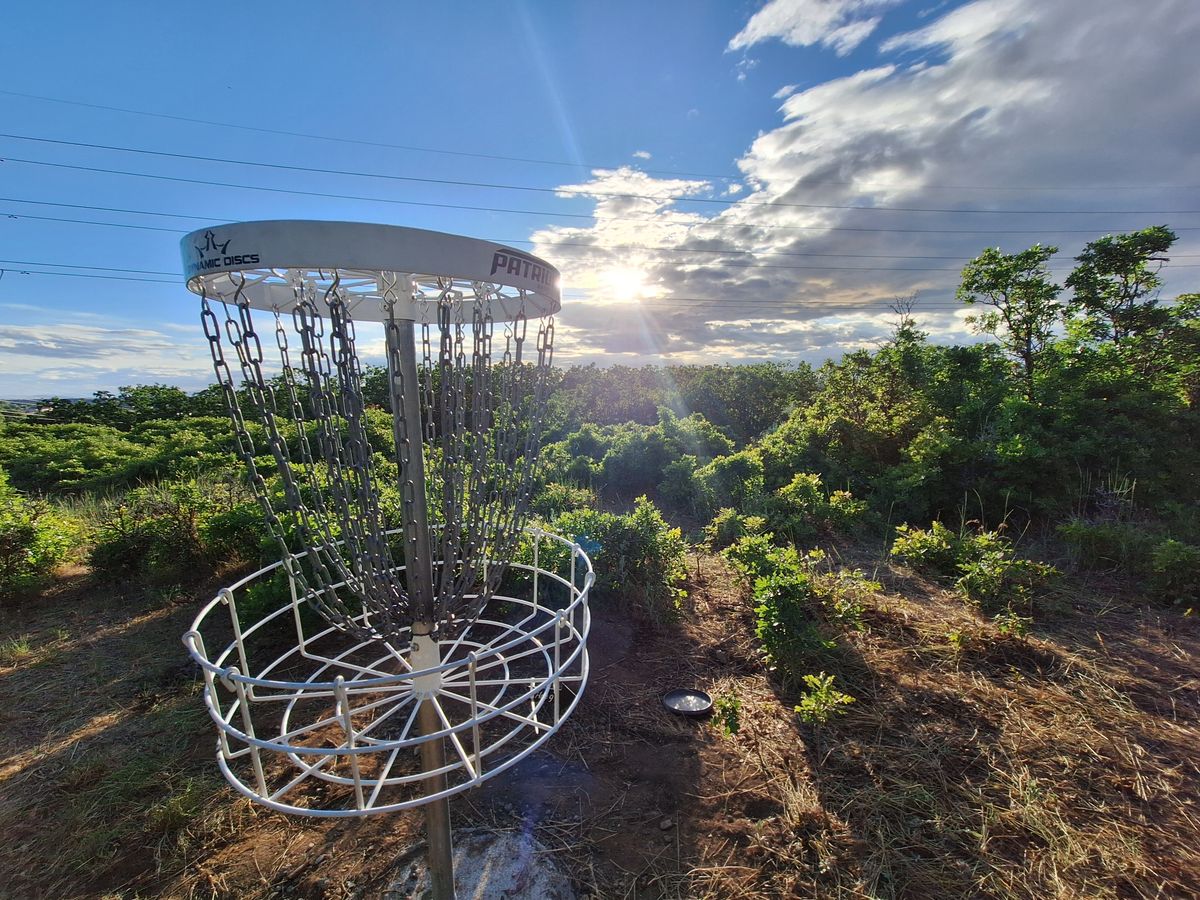 Hole 8 basket