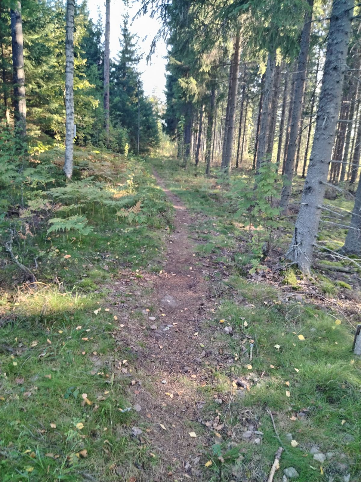 Siirtymä paikat hyvät suuntaan sun toiseen
