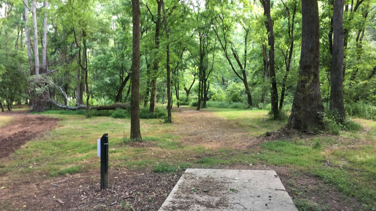 Hole 5