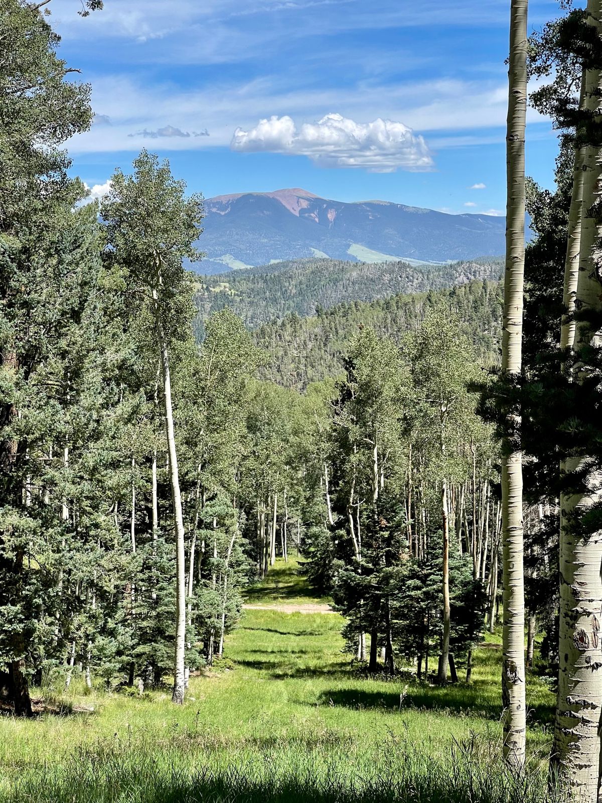 Fairway Hole 15