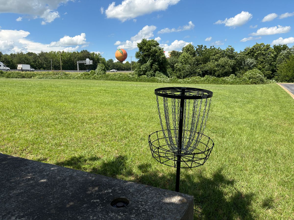Hole 9 basket with famous Gaffney Peach in background