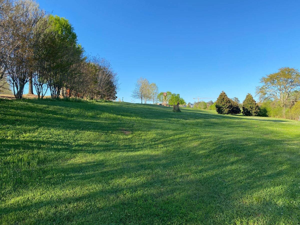 Hole 7 tee