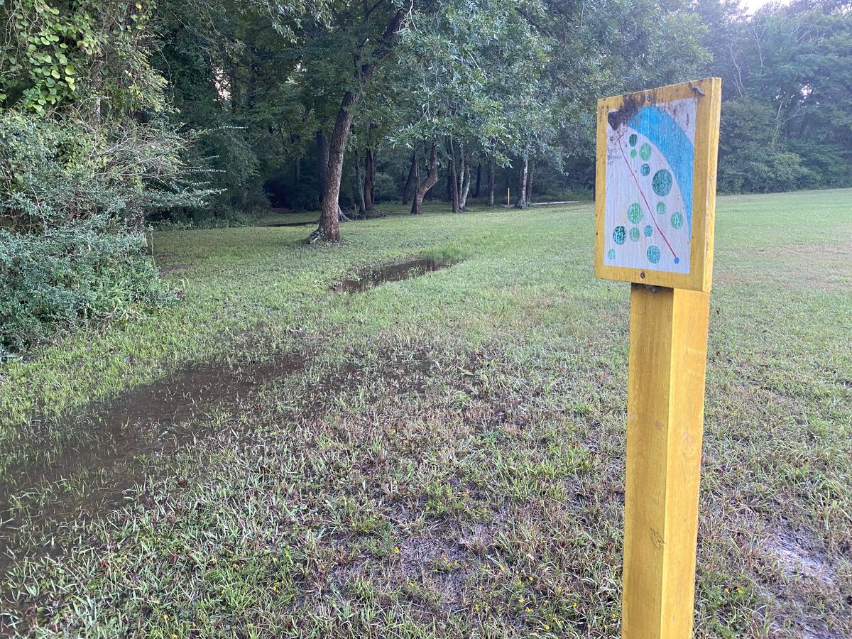 Hole 6 - basket in the woods to the left