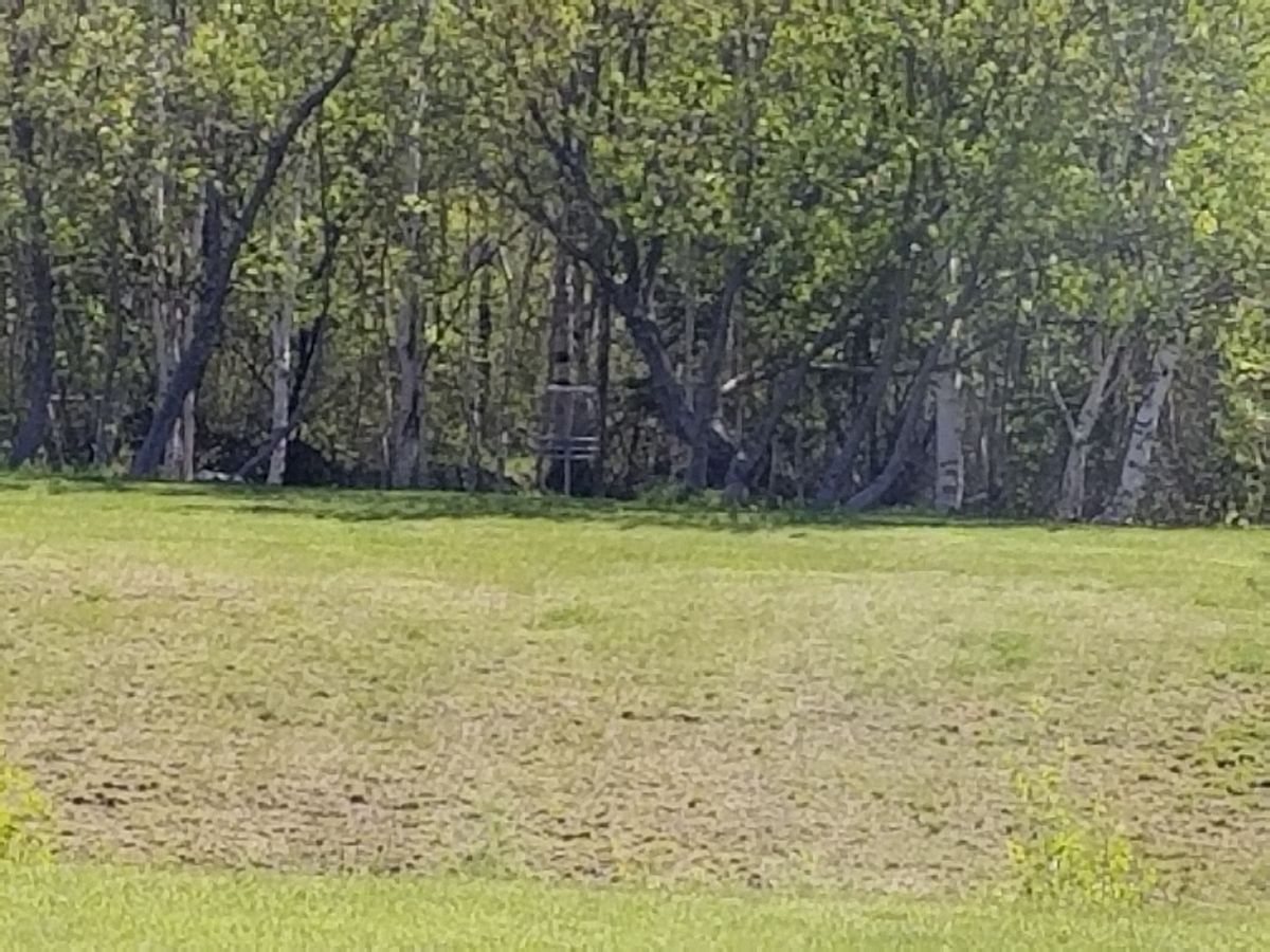 Hole #4 (BLUE layout) basket from teebox