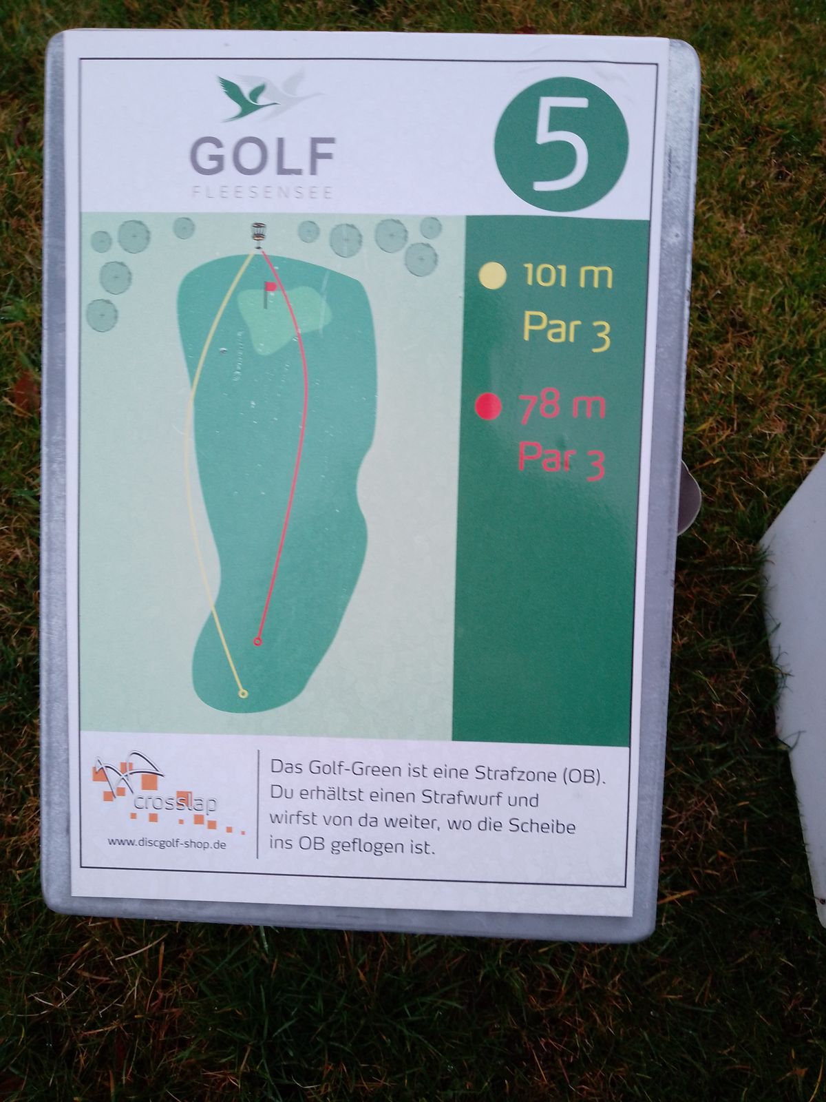 Tee 5