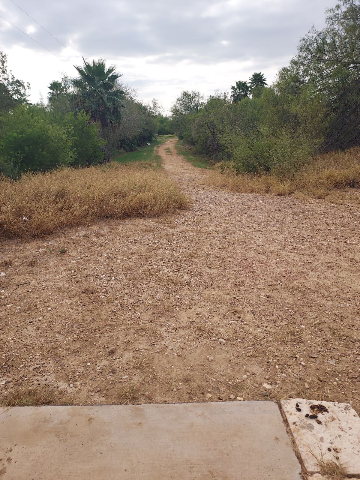 Hole 8 from the tee