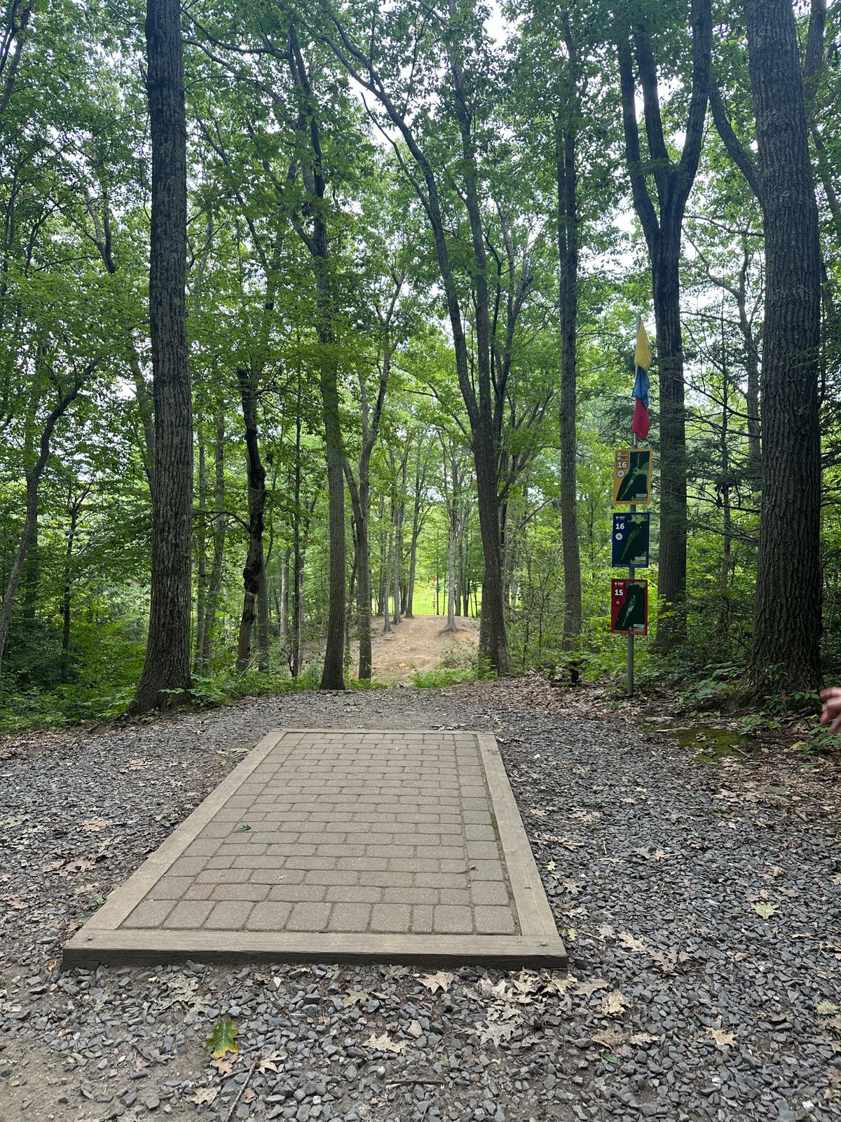 Hole 15