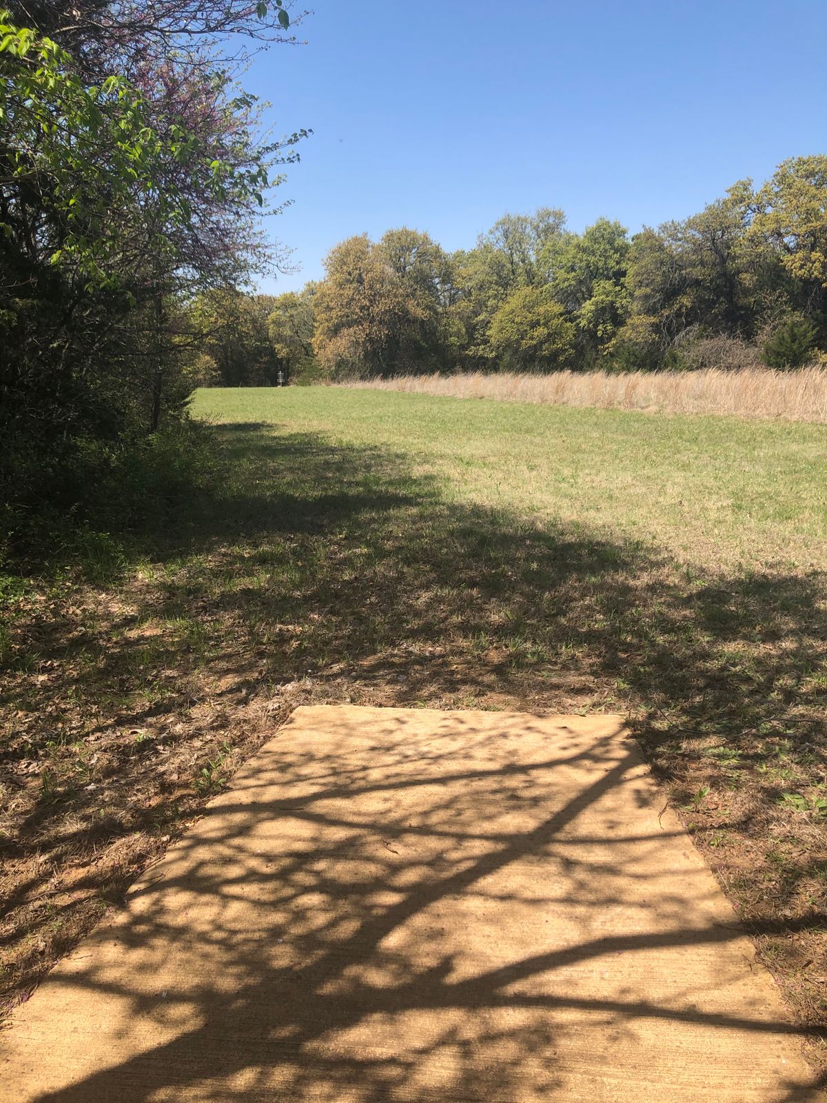 Hole 11 north short tee