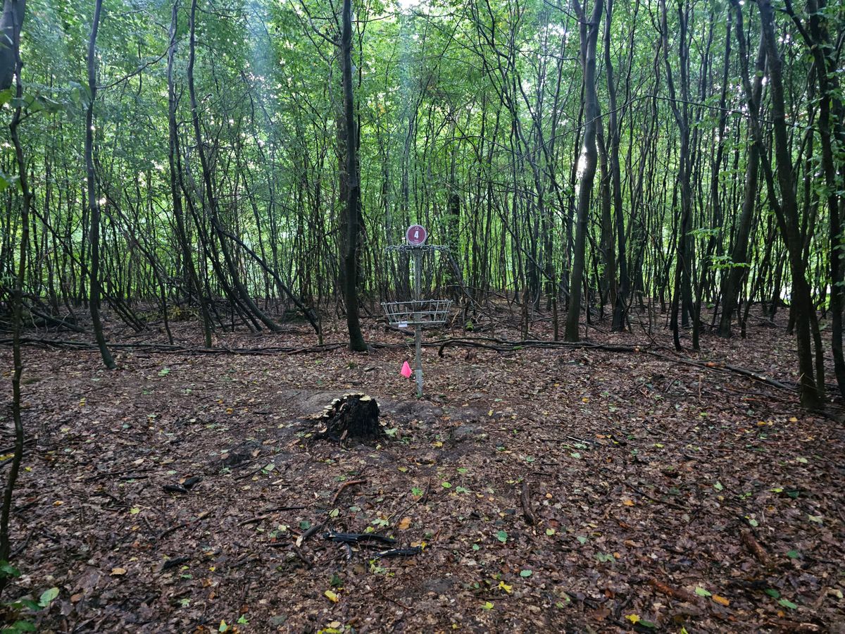 Hole 4a
