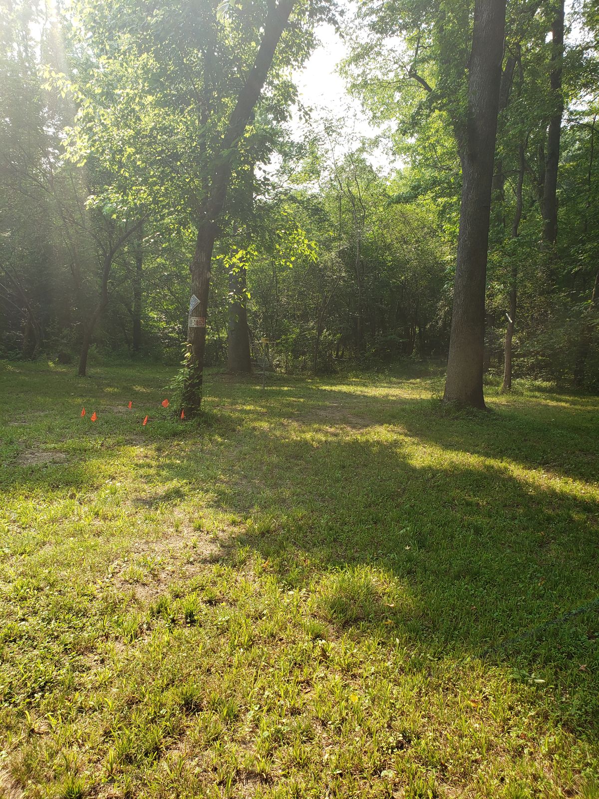 Hole 9 basket