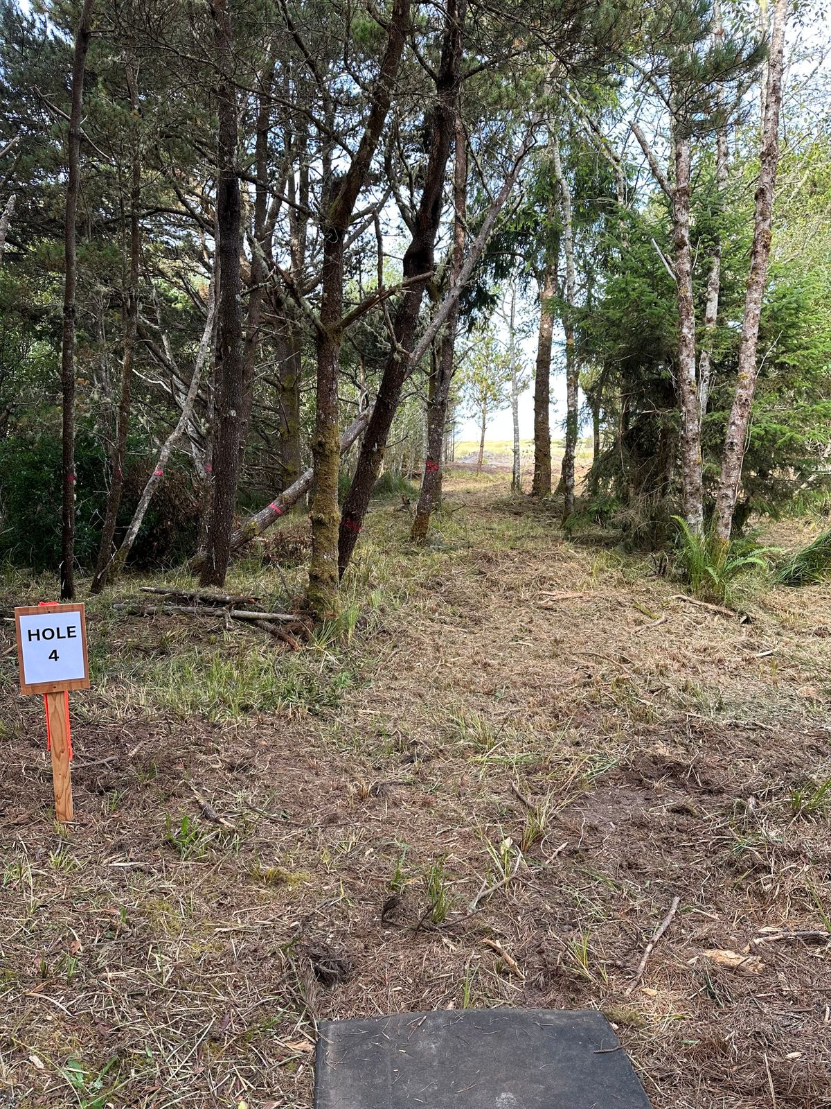 Hole 4 temporary tee