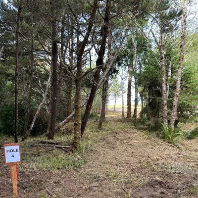 Hole 4 temporary tee