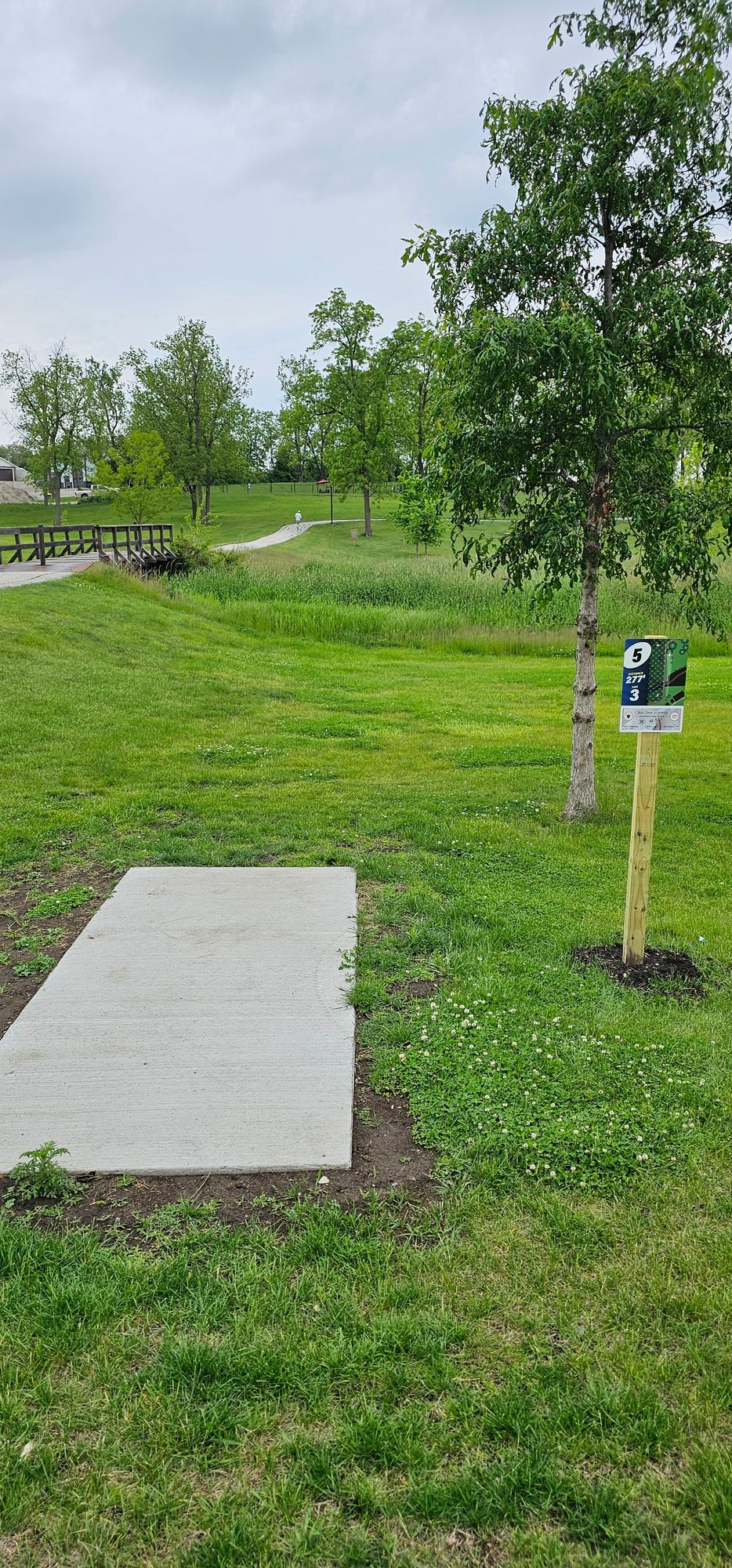 Hole 5 tee