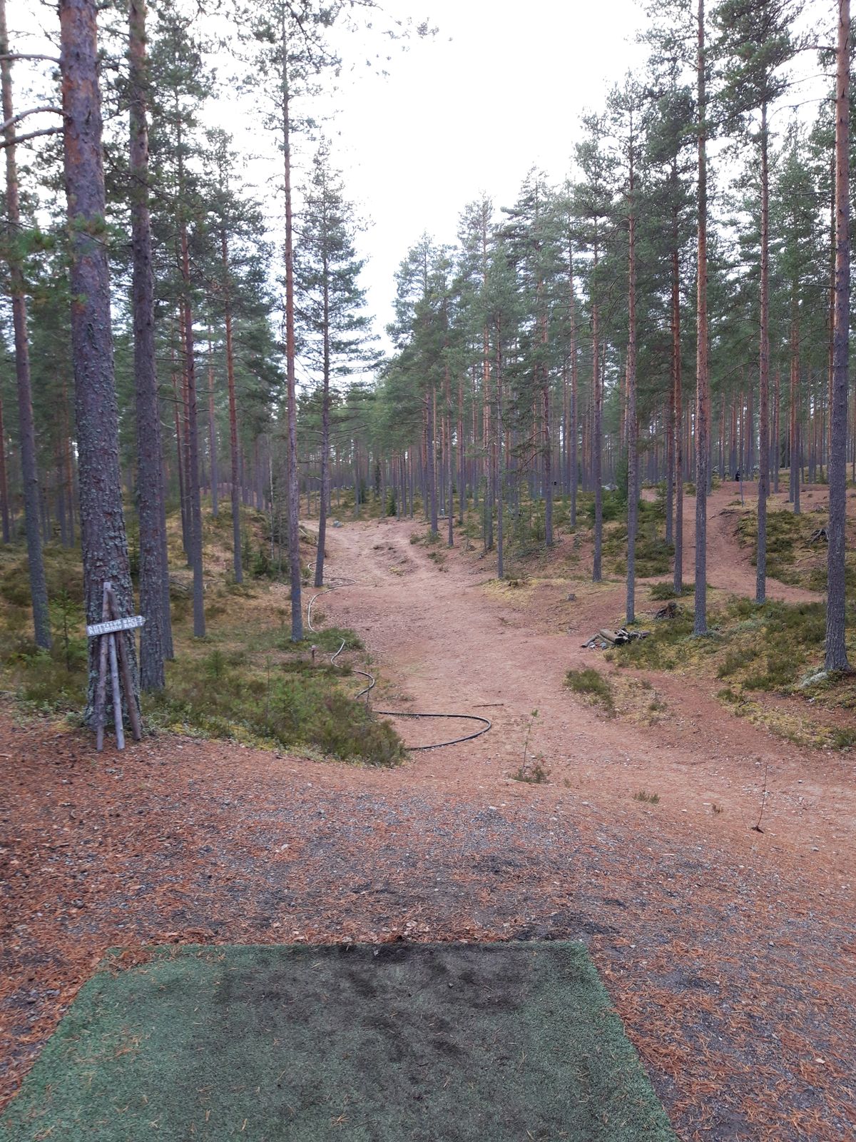 #11 244m par 5