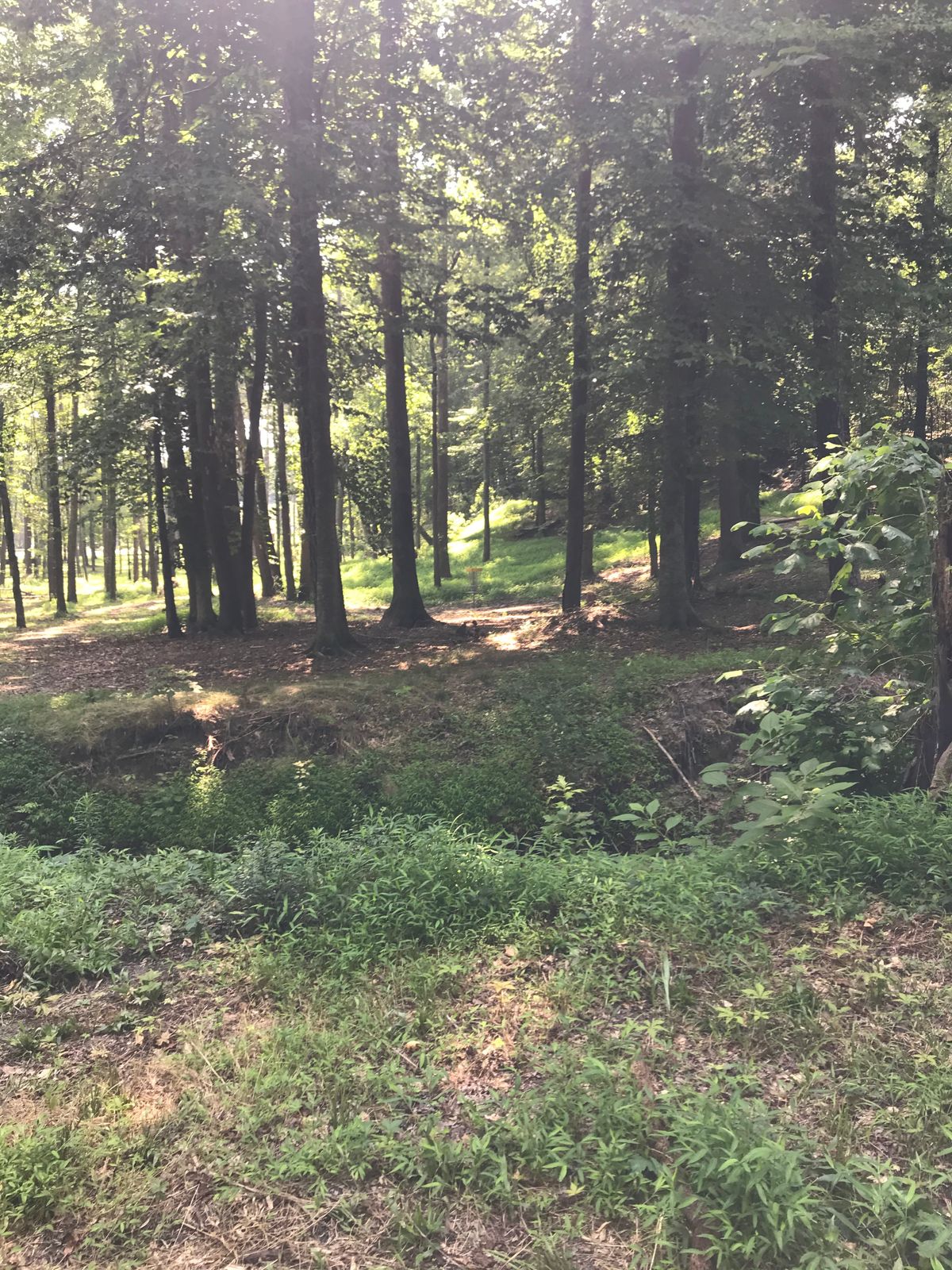 Hole 7