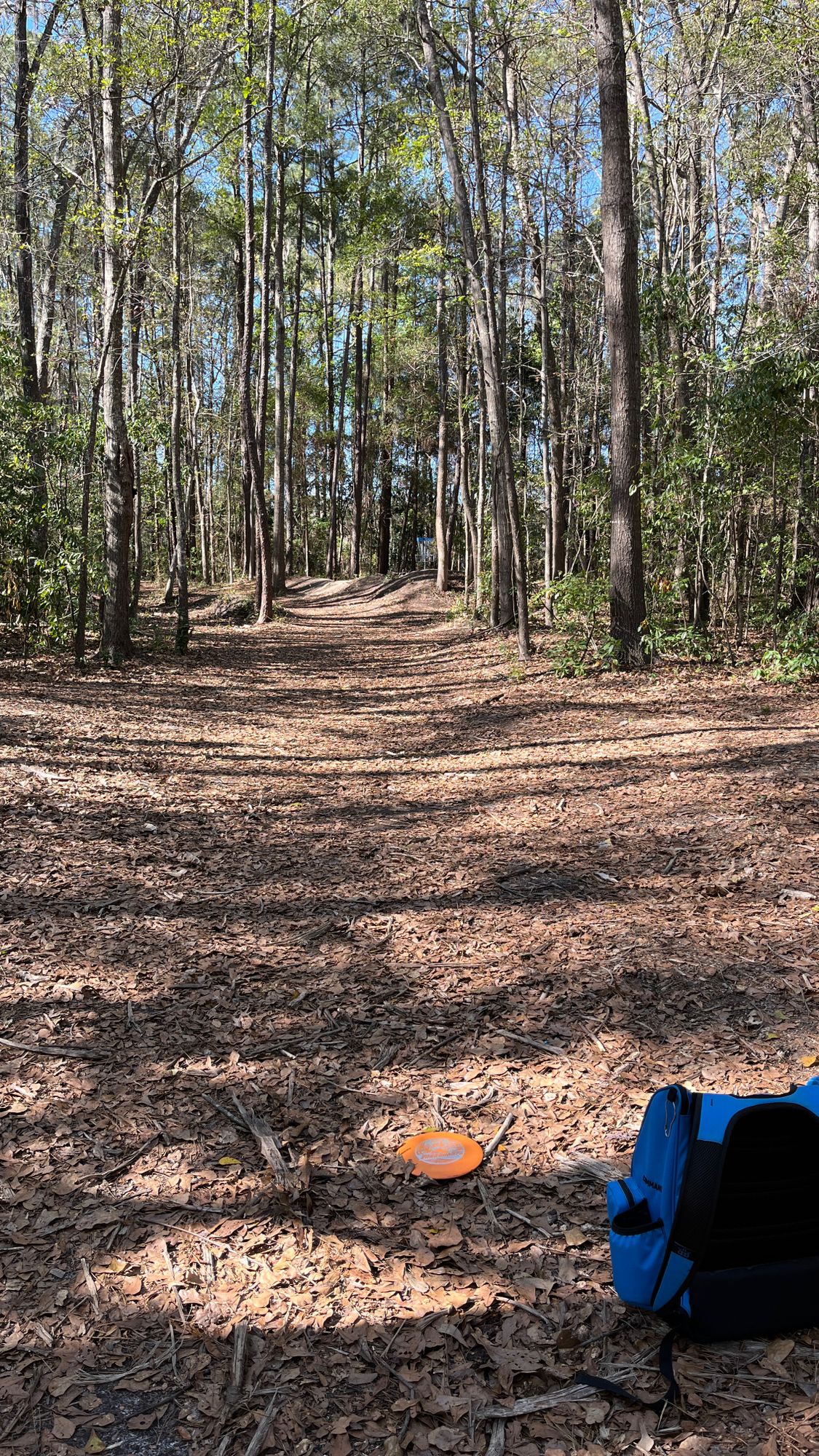 Eagle on hole 3 long