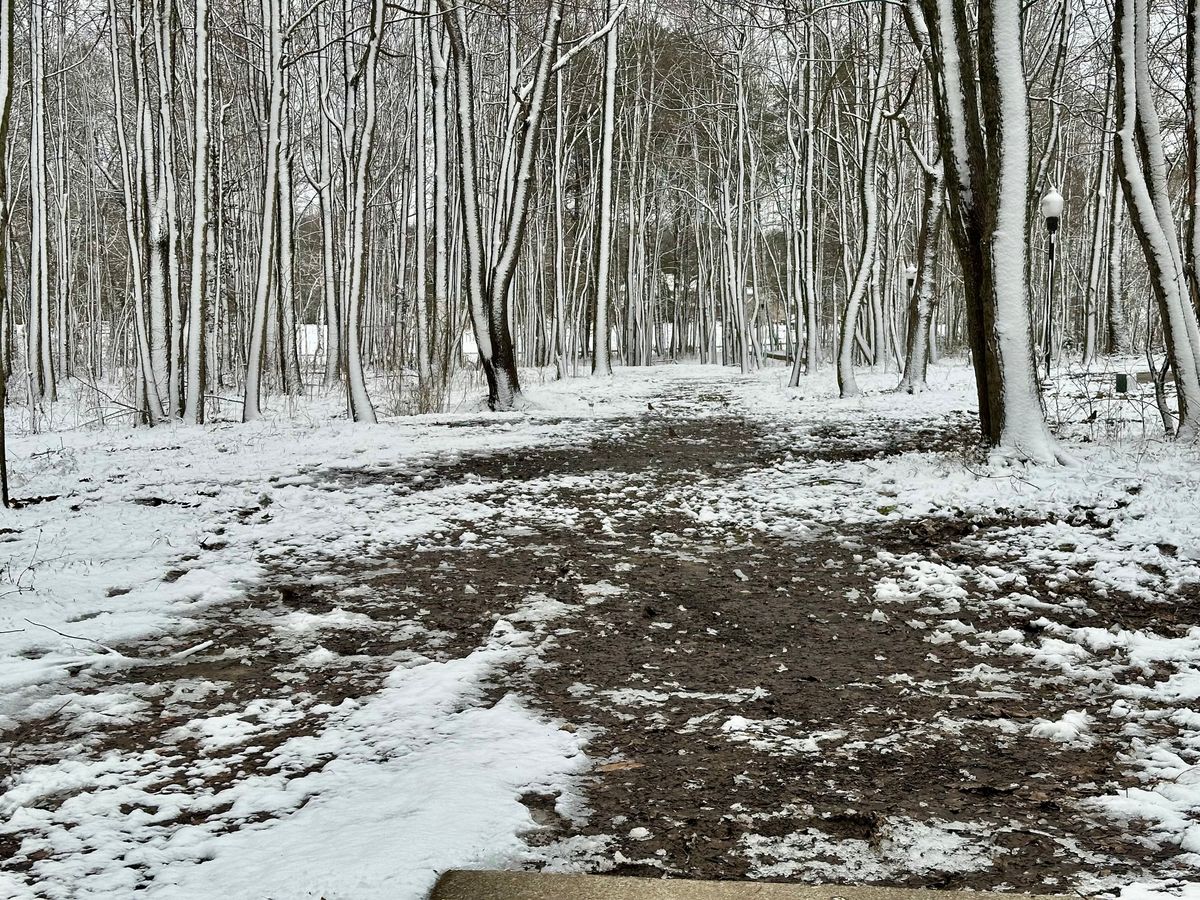 Snowy hole 5.