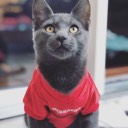 polecatdaddy