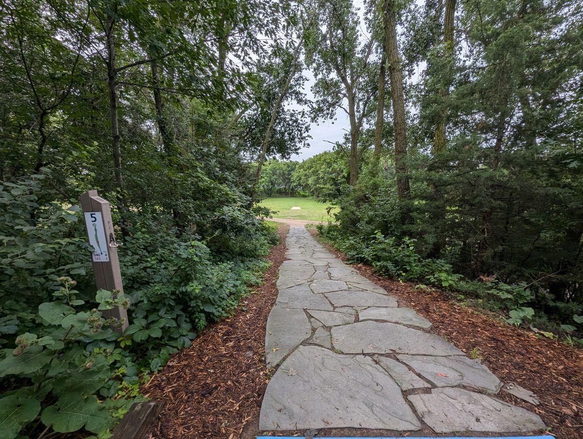 Hole 5 tee