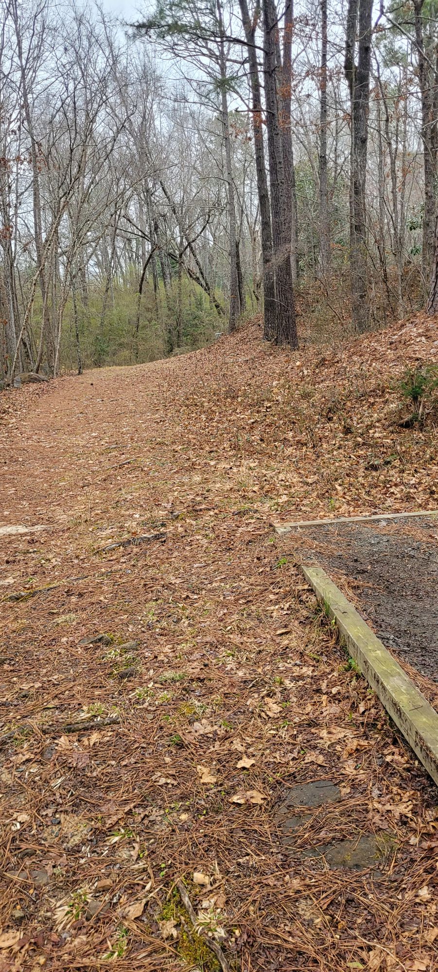 Orange Tee, Hole 9